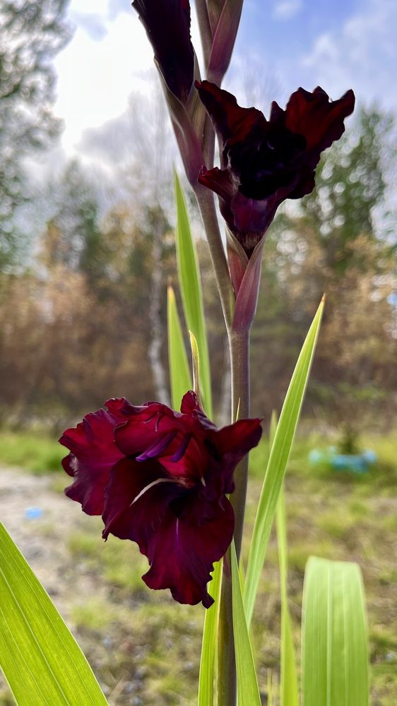 Photograph by Юлия Казимирова