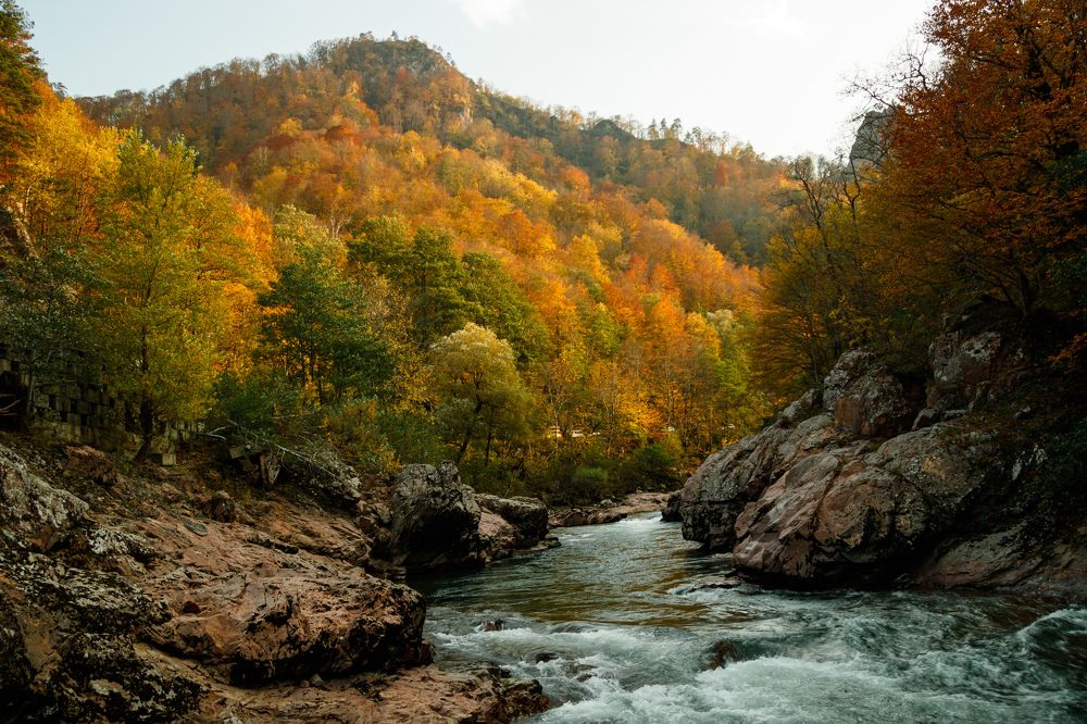 Photograph by Сергей Кравченко