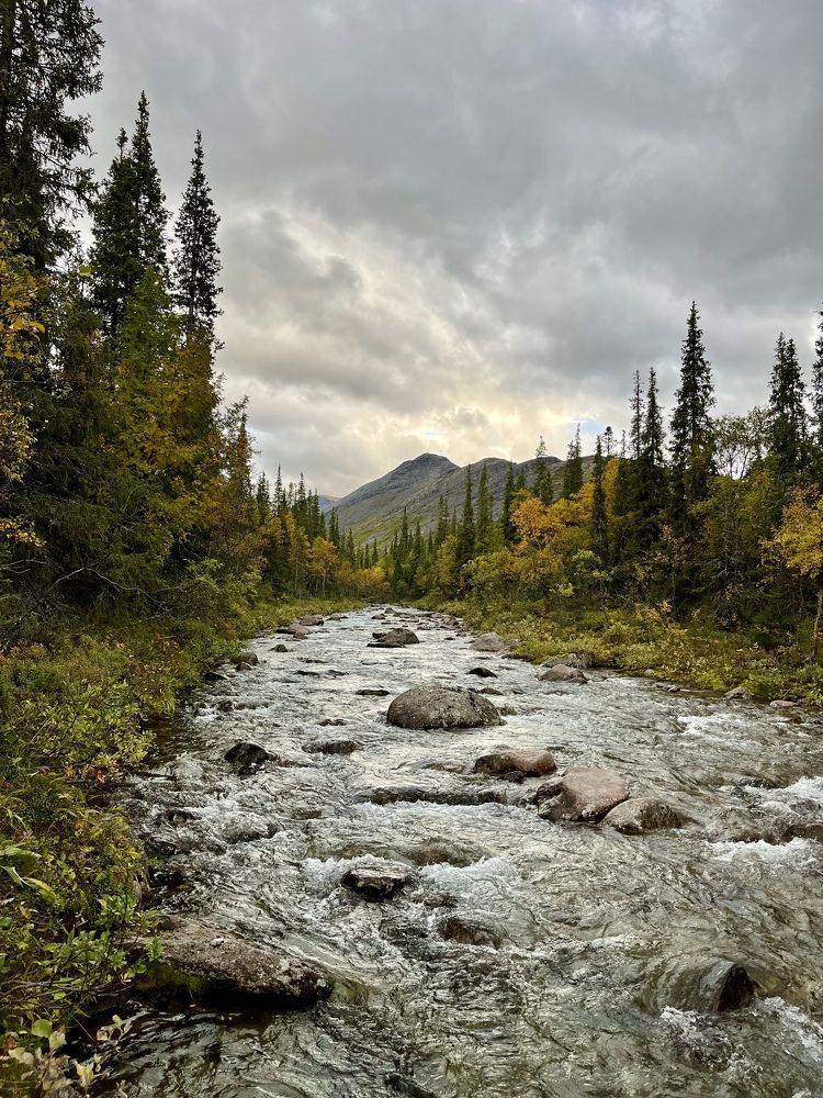 Photograph by Юлия Казимирова