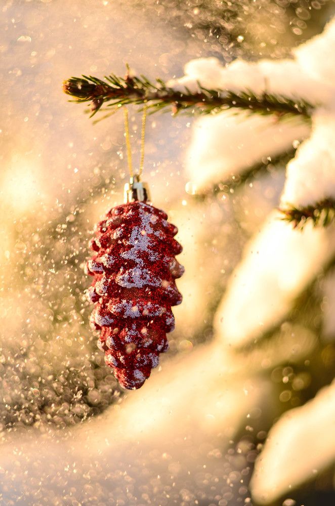 Photograph by Аряева Анна