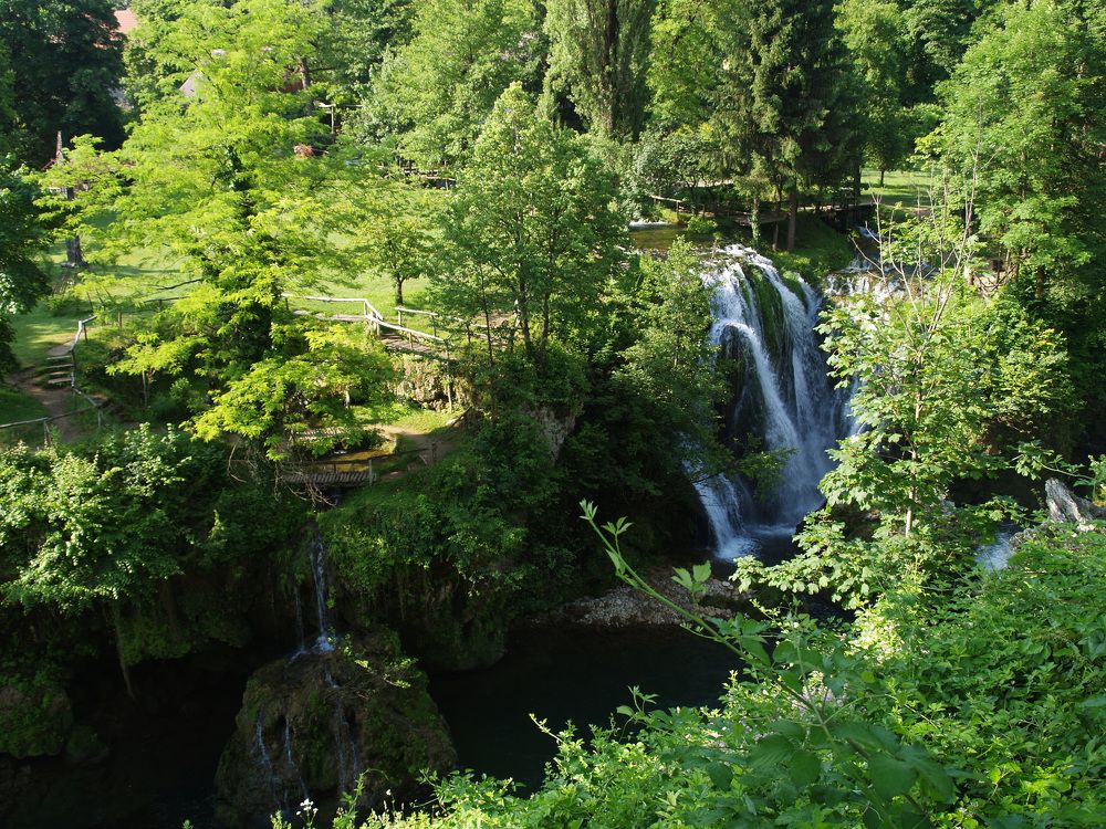 Фотография автора Dubravko Maricic