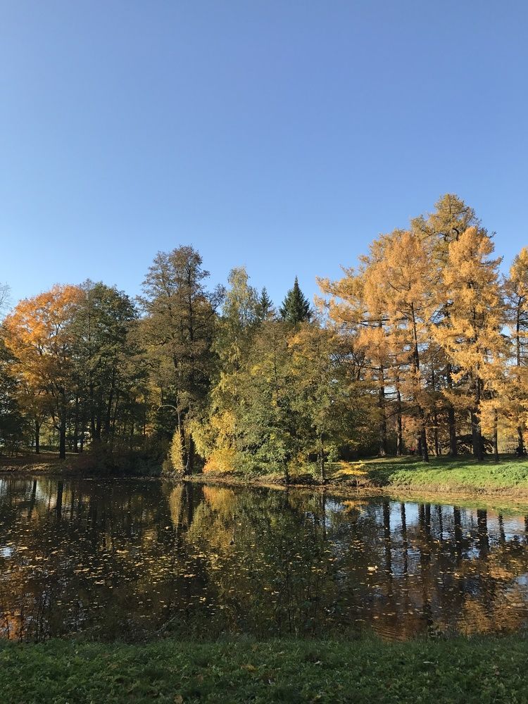 Photograph by Болдырева Ольга