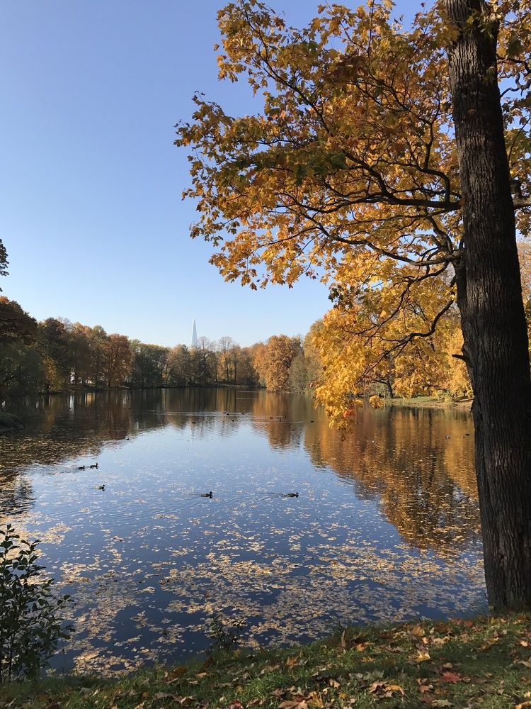 Photograph by Болдырева Ольга