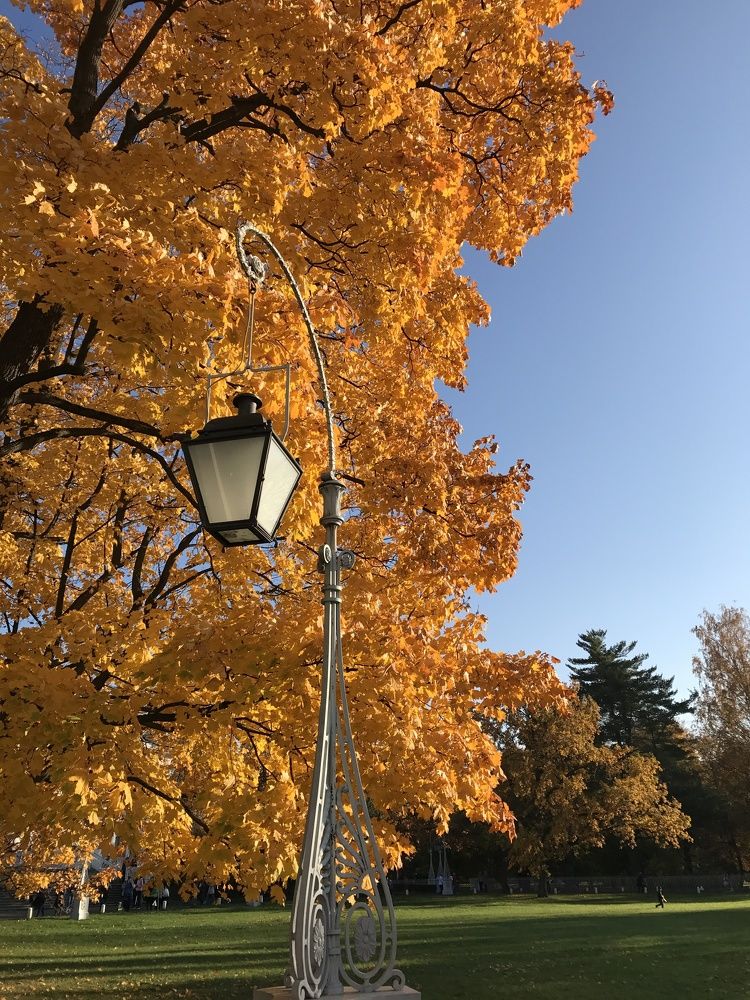 Photograph by Болдырева Ольга