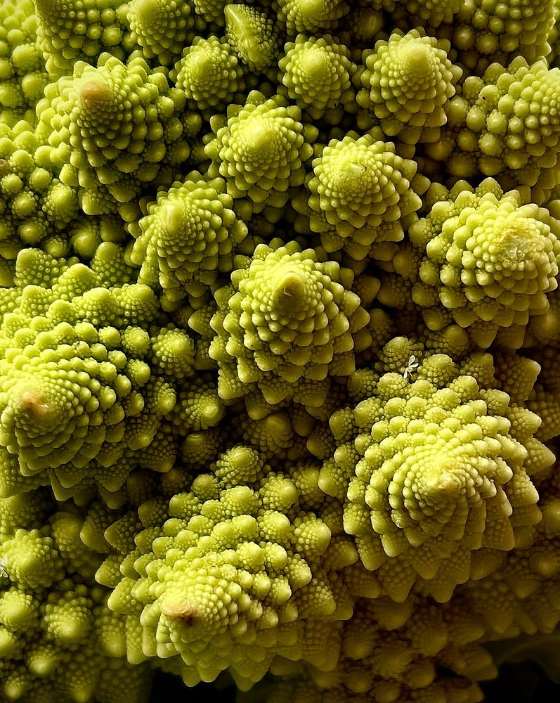 Photograph by Анна Адаменко