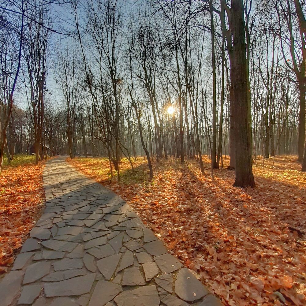 Photograph by Суворова Наталия