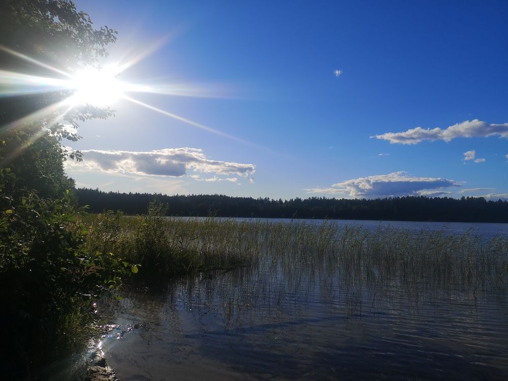 Photograph by Екатерина Борисовна Кузьмина