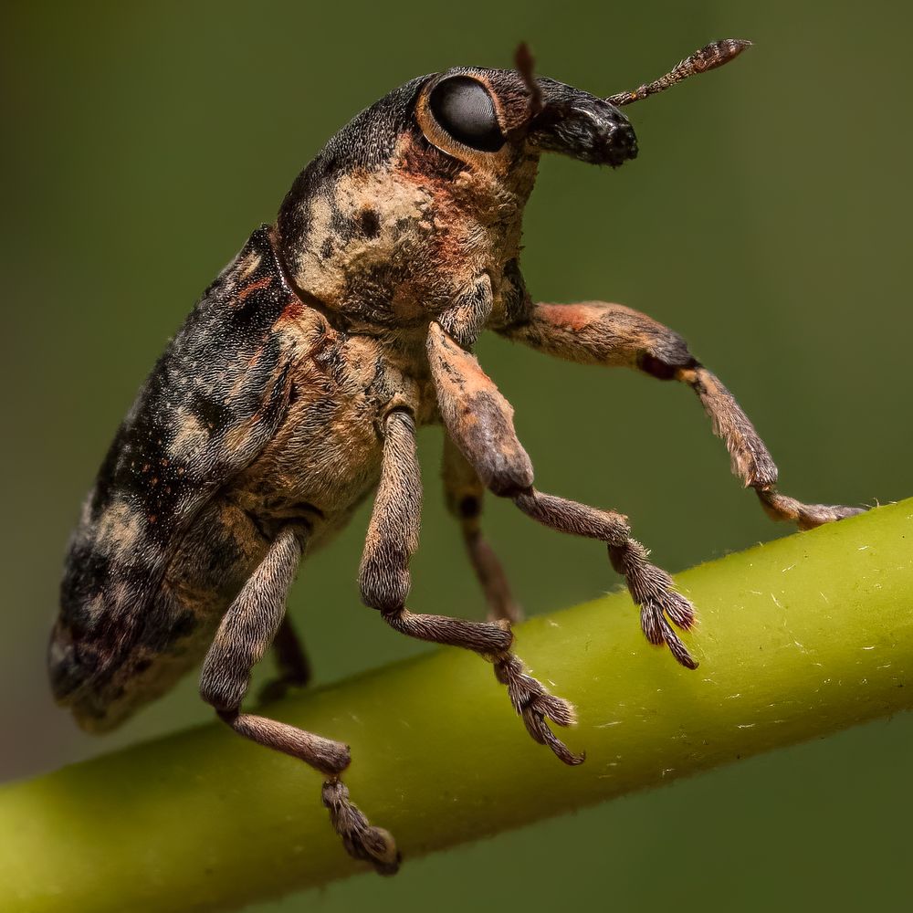 Photograph by Abolfazl Arab