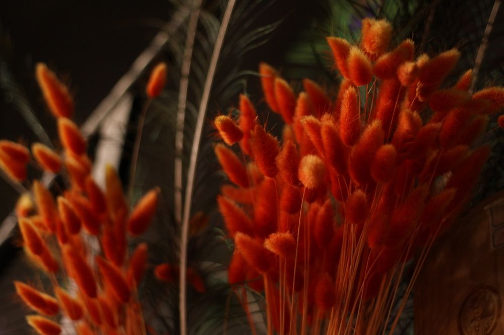 Photograph by Юлия Ткачёва