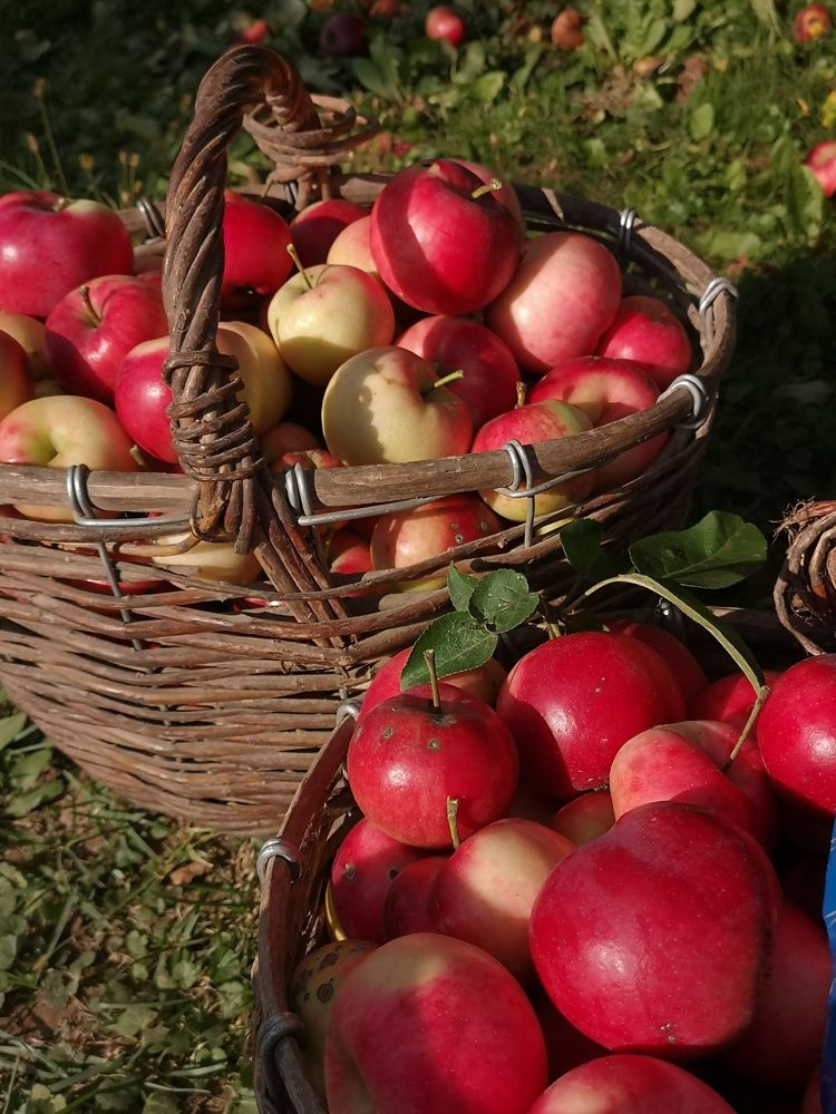 Photograph by Екатерина Борисовна Кузьмина