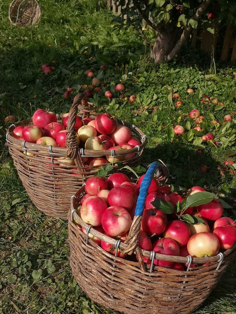 Photograph by Екатерина Борисовна Кузьмина