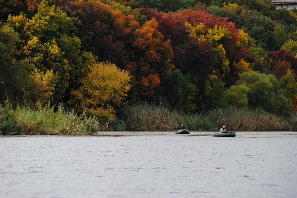 Photograph by Инна Сечко