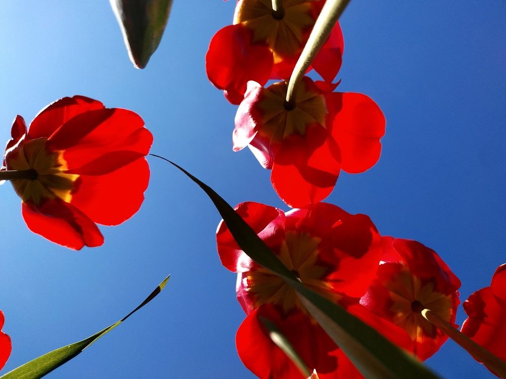 Photograph by Аряева Анна