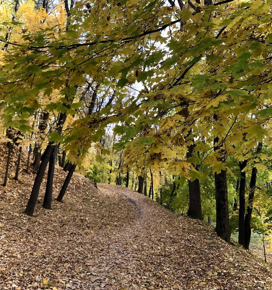 Photograph by Юлия