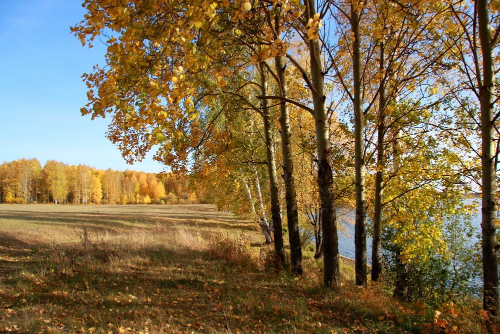 Фотография автора Nelya  Lysenko