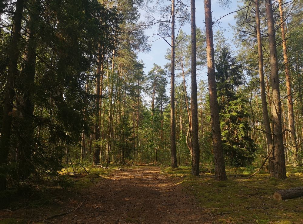 Photograph by Екатерина Борисовна Кузьмина