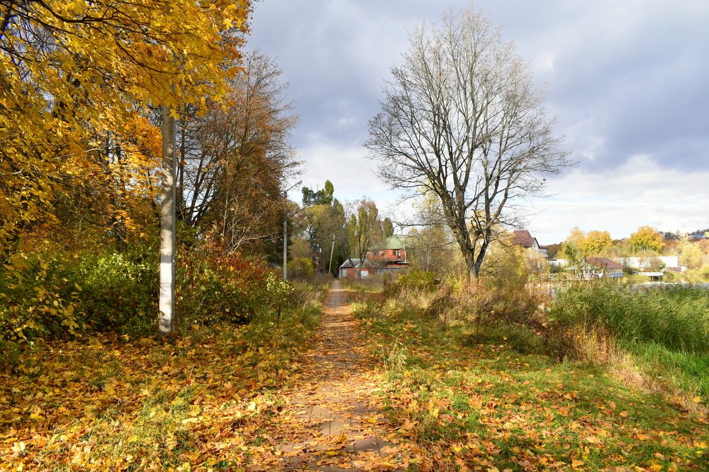 Photograph by Татьяна Калугина