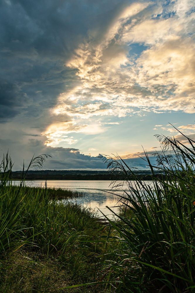 Photograph by Armando Lopez-Guerrero