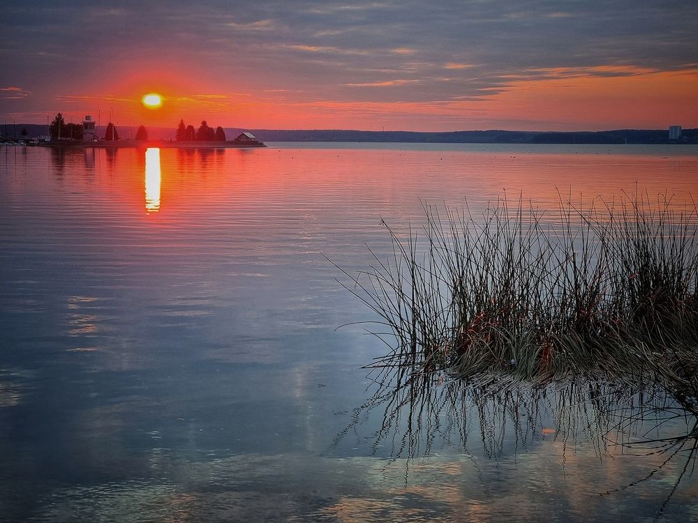 Фотография автора Дана Богинская