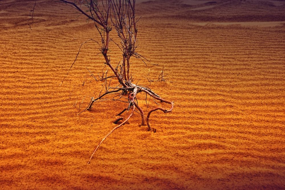 Photograph by Сергей