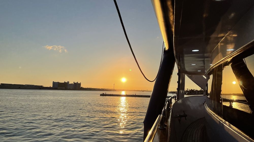 Фотография автора Hala Ali