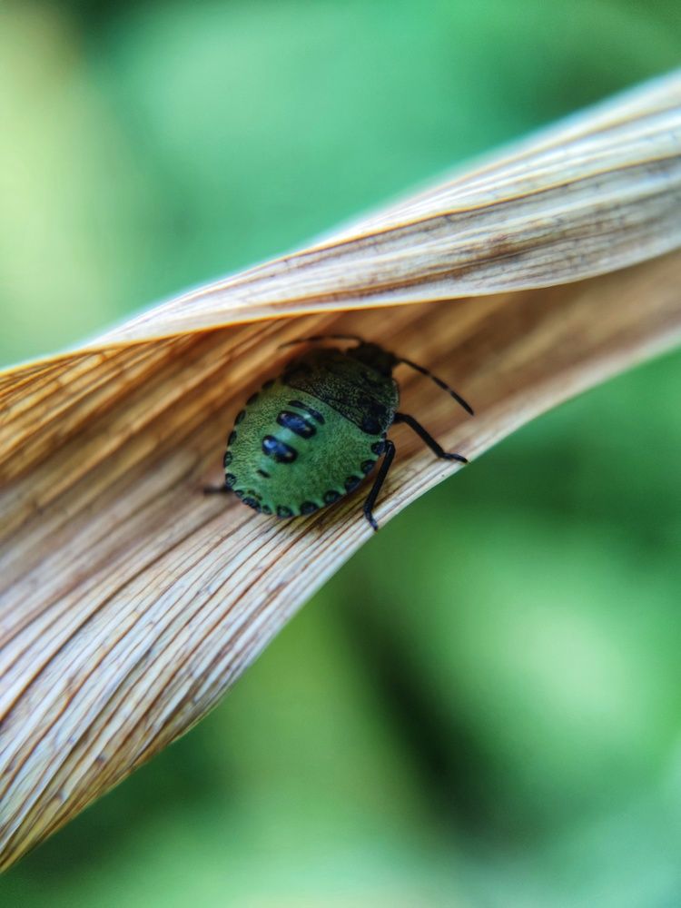 Photograph by Olga Royanova