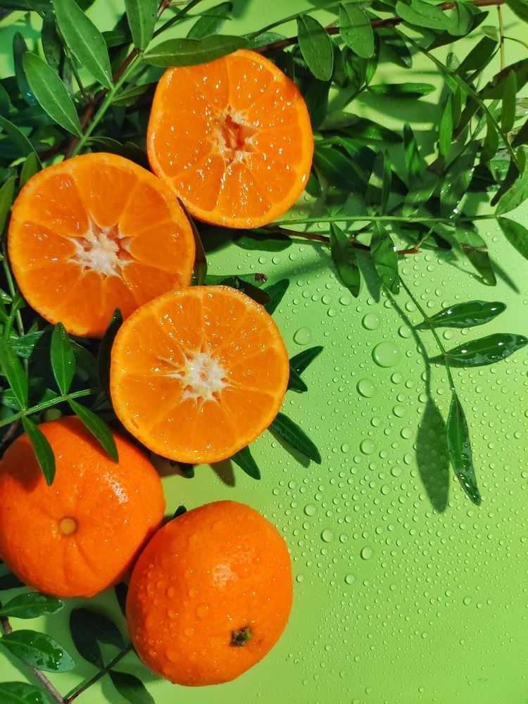 Photograph by Olga Royanova