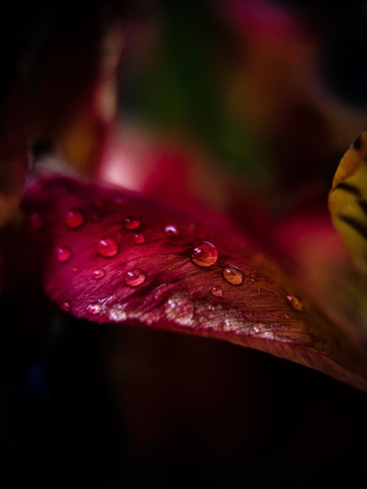 Photograph by Olga Royanova