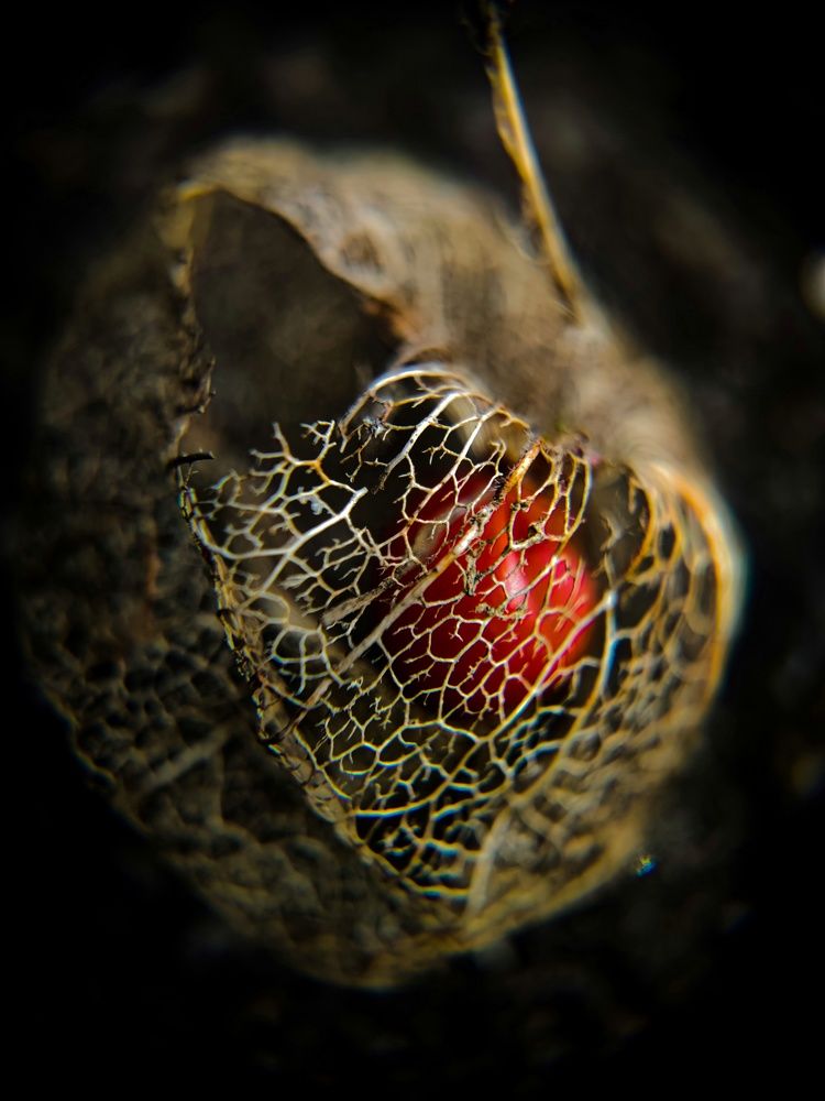 Photograph by Olga Royanova