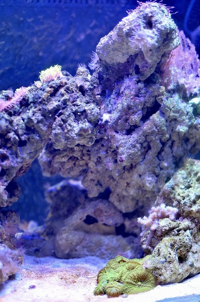 Photograph by Olga Brilevskaya