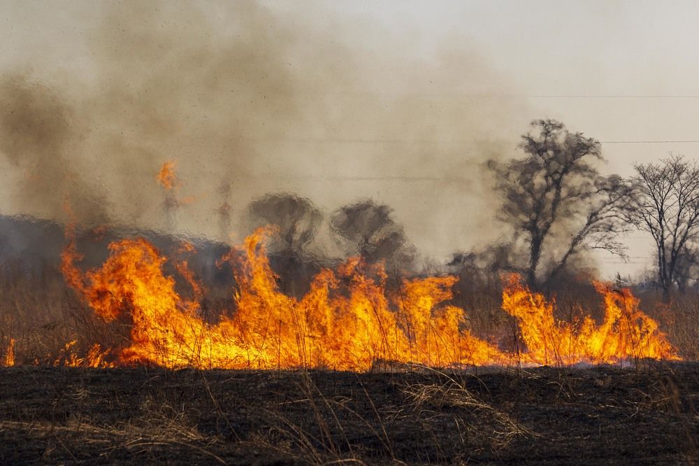 Photograph by Sergey Tsubanov