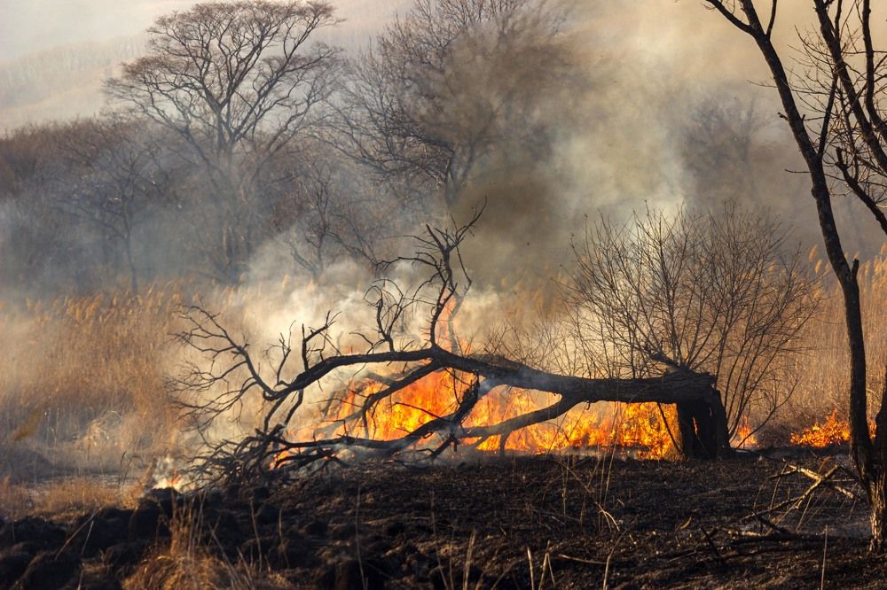 Photograph by Sergey Tsubanov
