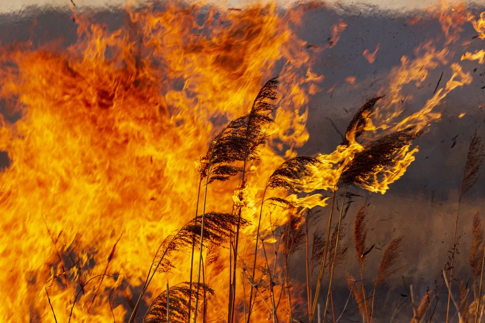 Photograph by Sergey Tsubanov