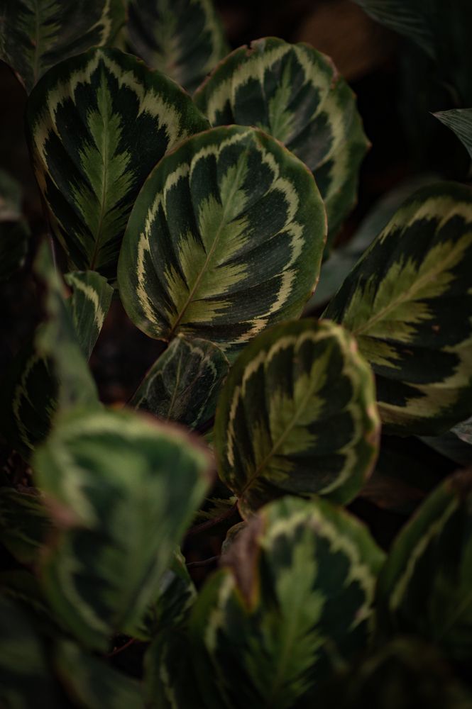 Photograph by Евгения Амелина