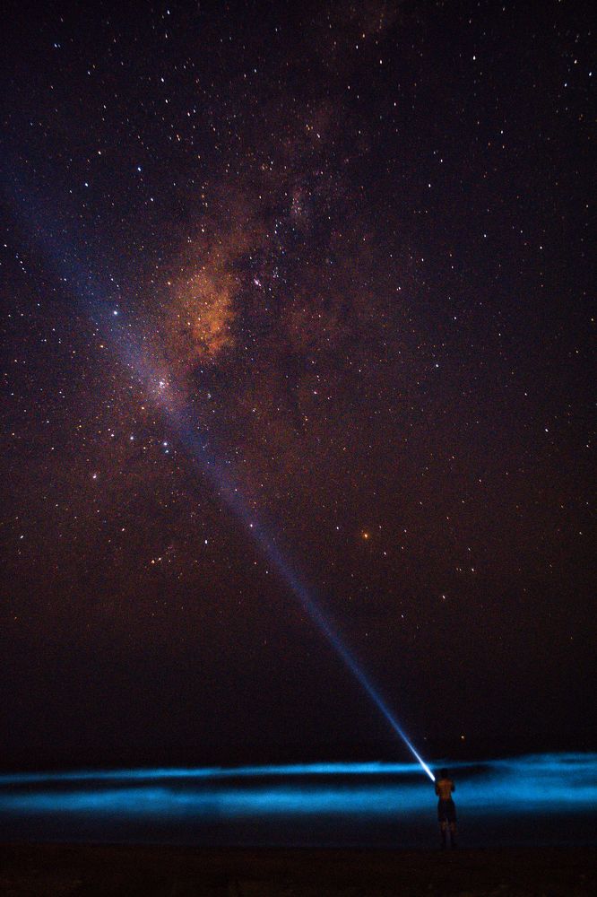 Photograph by Nivedh A.M