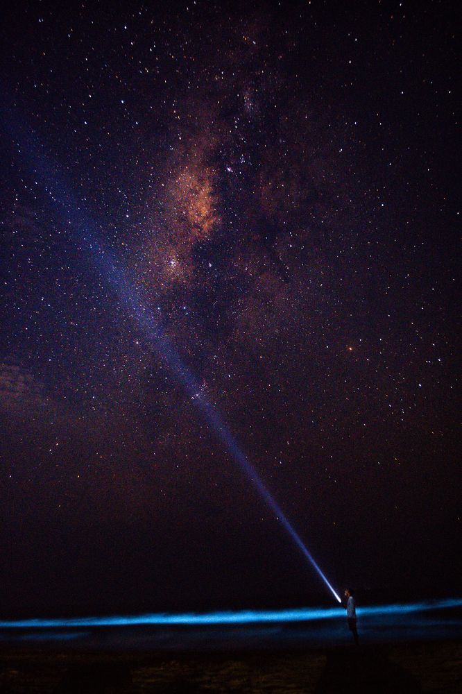 Photograph by Nivedh A.M