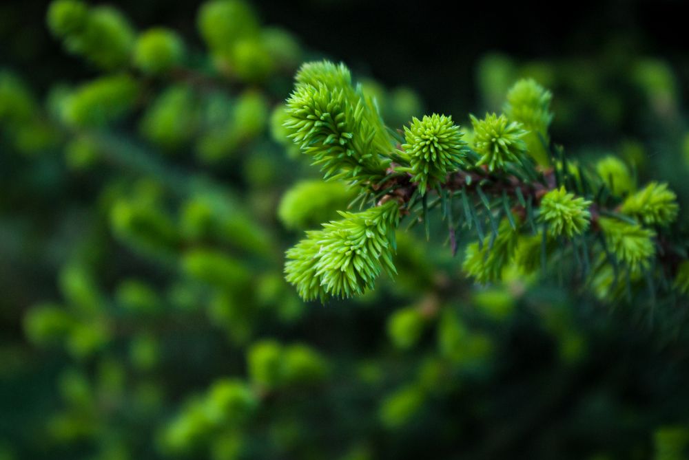 Photograph by Елена Берсенёва