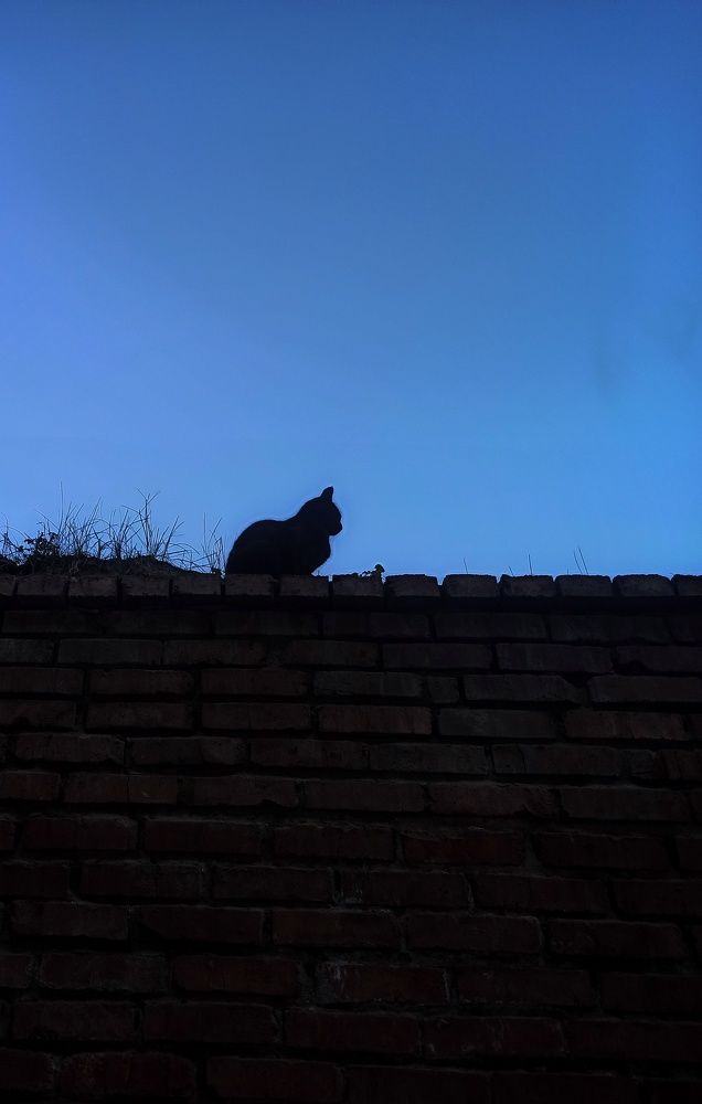 Photograph by Евгения Акишева