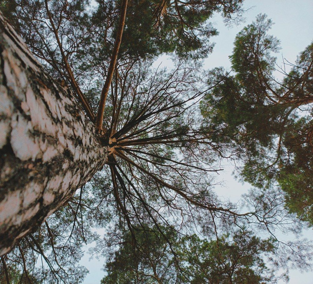Photograph by Татьяна Малицкая