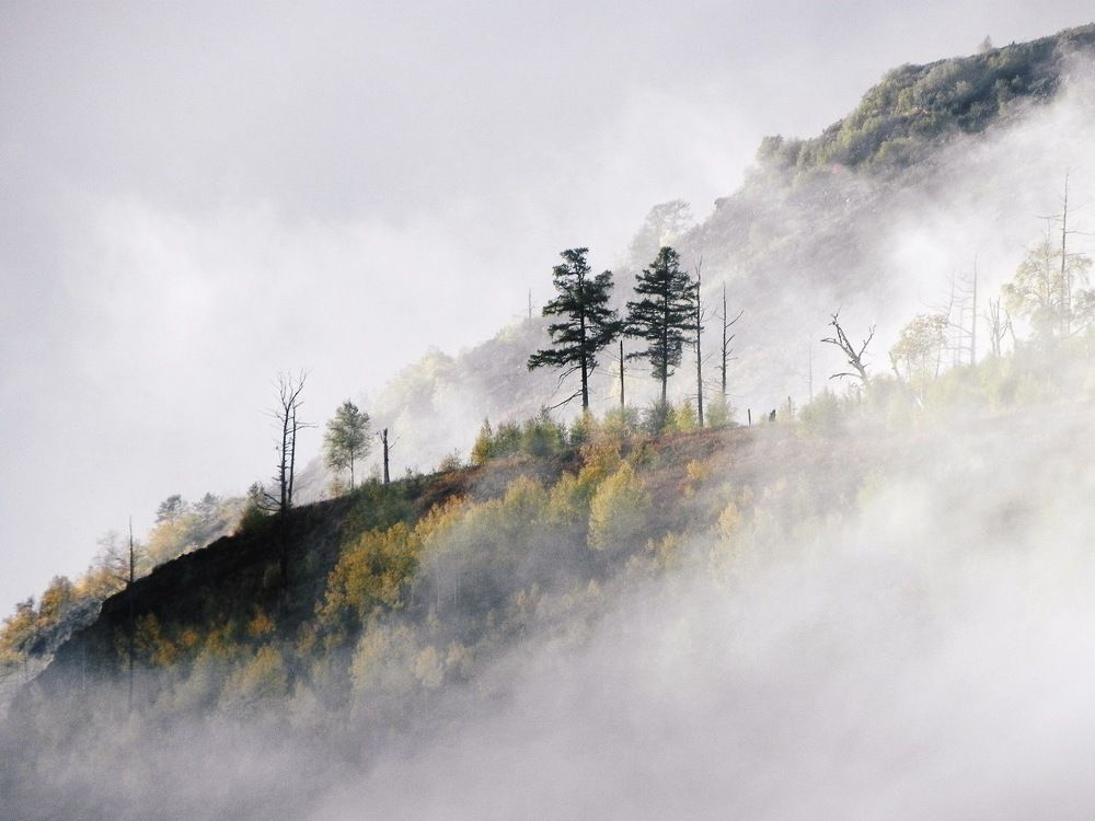 Photograph by Екатерина Мельник