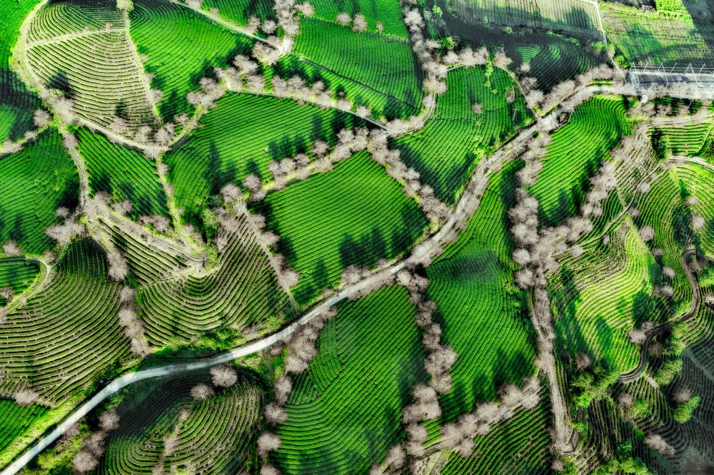 Photograph by Nguyen Ngoc Tuan