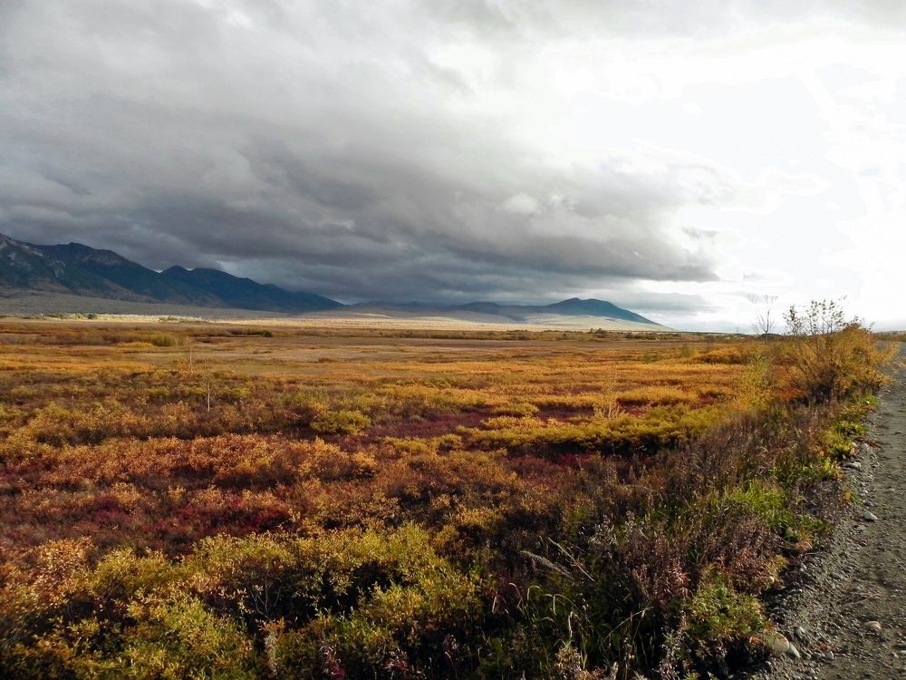 Photograph by Екатерина Мельник