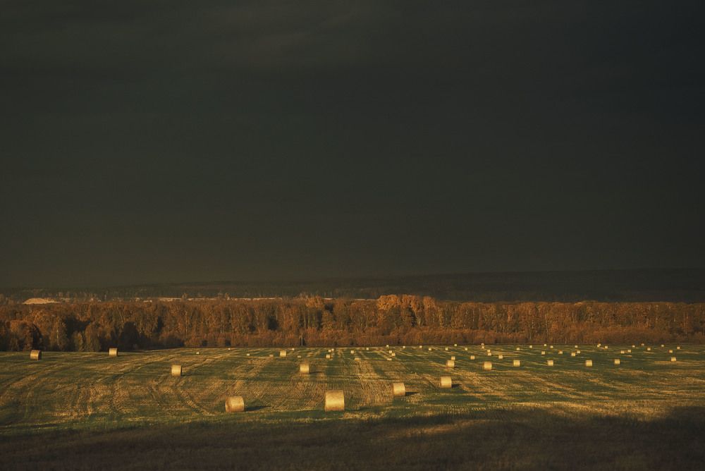 Photograph by Юлия Лушникова