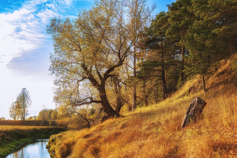 Photograph by Григорьев Денис