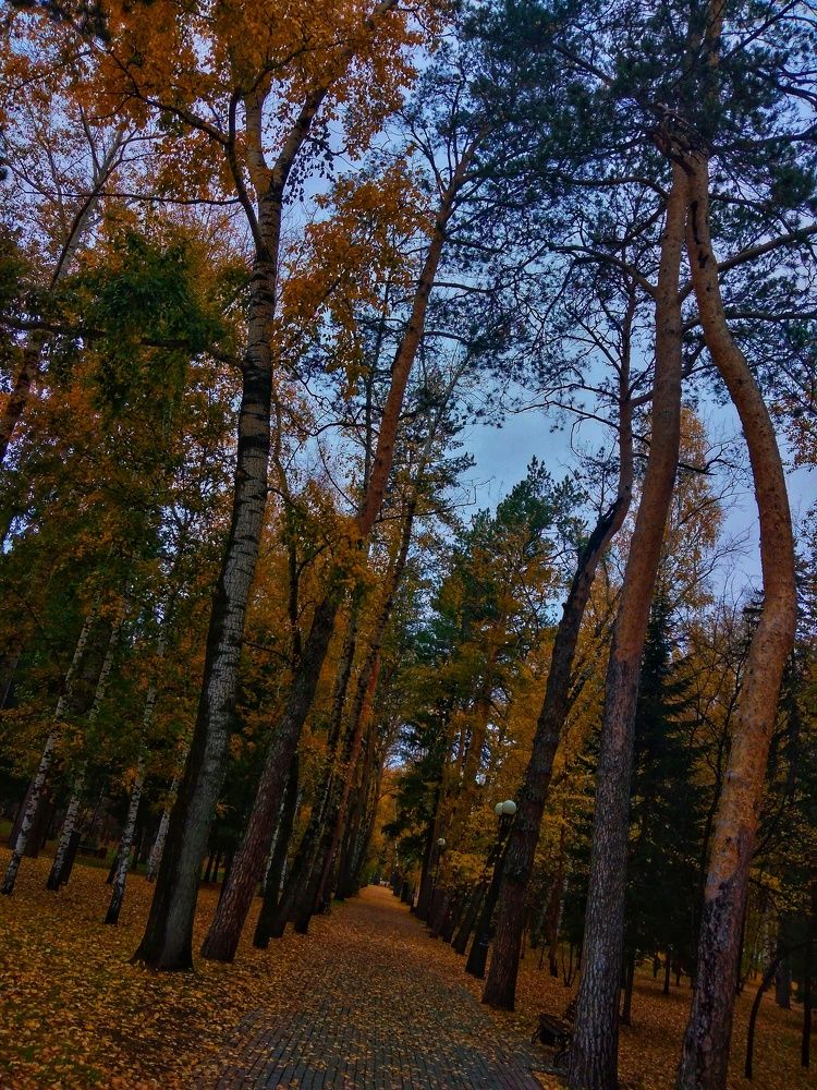 Photograph by Наталия Юминова