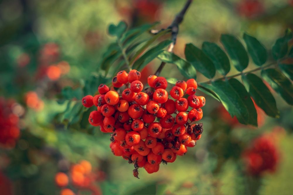 Photograph by Евгений Малинин