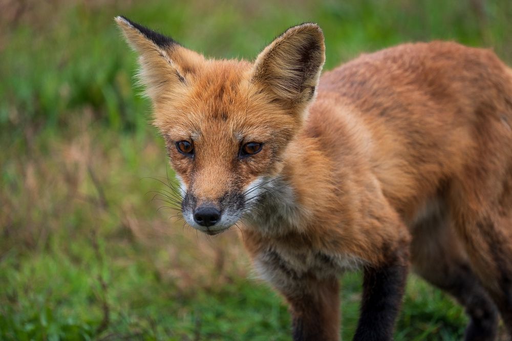 Photograph by Greg Noakes