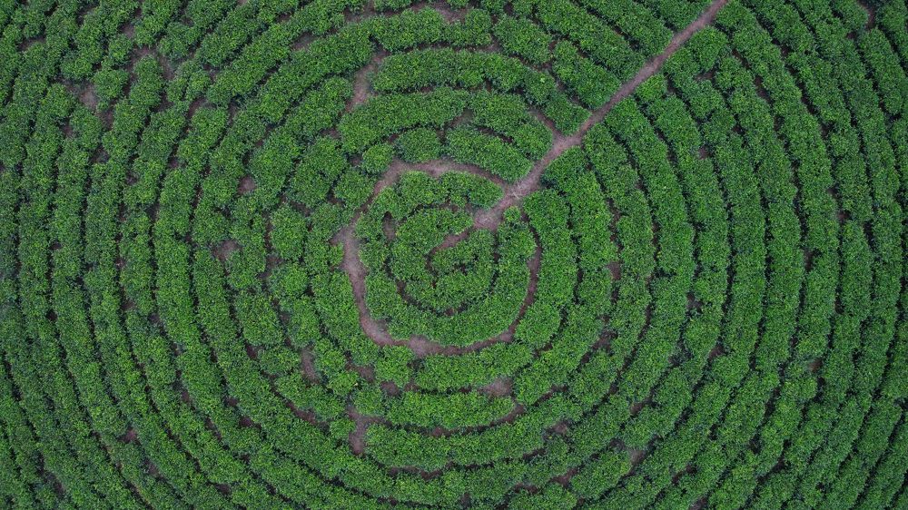 Photograph by Hawin Printo C