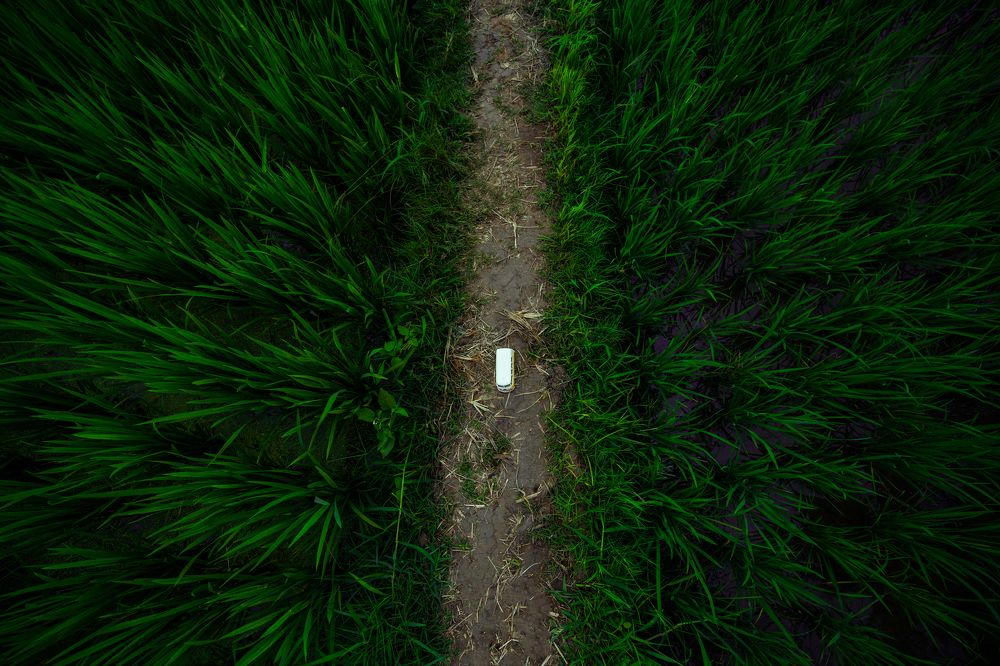 Photograph by Hawin Printo C