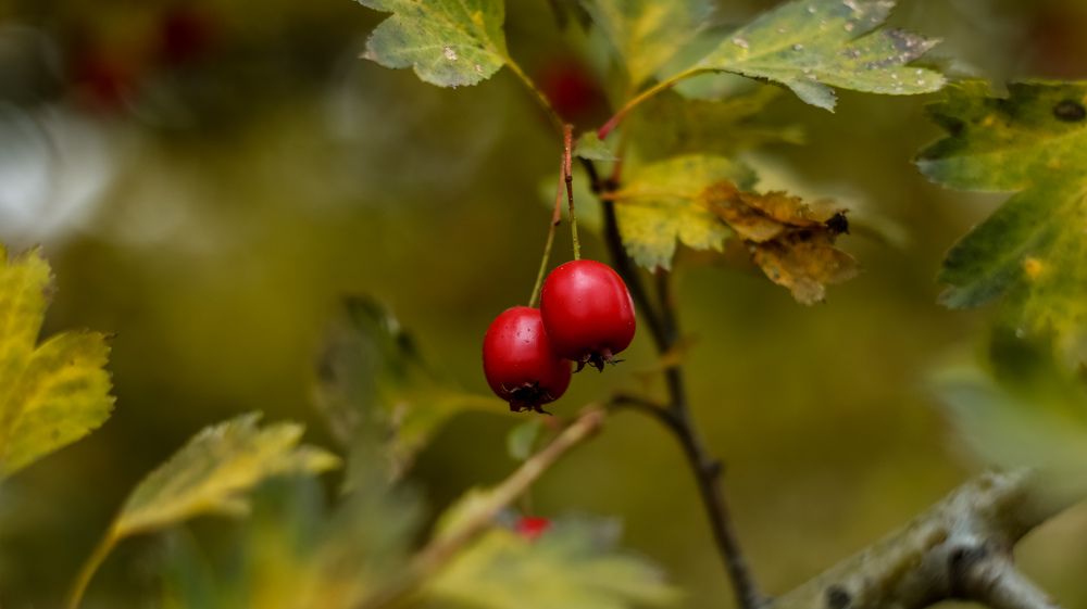 Photograph by Сергей Кравченко